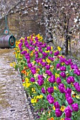 SPRING BEDDING SCHEME