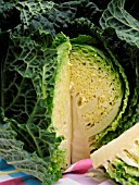 SAVOY CABBAGE (BRASSICA OLERACEA)