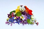 EDIBLE SUMMER FLOWERS