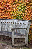 CURVED GARDEN SEAT IN AUTUMN