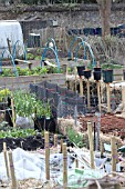 ALLOTMENT GROWING METHODS