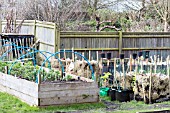 ALLOTMENT GROWING METHODS