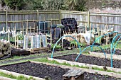 ALLOTMENT GROWING METHODS