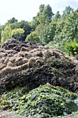 COMPOST MAKING