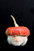 CUCURBITA PEPO RED TURBAN