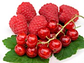 RASPBERRIES AND REDCURRANTS