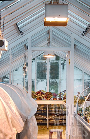 PROPAGATION_GLASSHOUSE