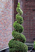 TOPIARY