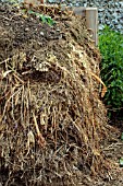 COMPOST STACK