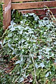 COMPOST STACK