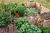 COMPOST STACK