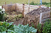 COMPOST STACKS