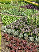 HERB AND VEGETABLE DISPLAY BEDS