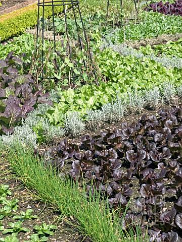HERB_AND_VEGETABLE_DISPLAY_BEDS