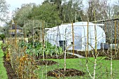 WINTER ALLOTMENT