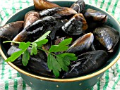 FLAT LEAVED PARSLEY (PETROSELINUM CRISPUM NEAPOLITANUM)) WITH MUSSELS