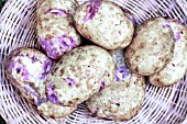 SOLANUM TUBEROSUM CARA