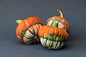 CUCURBITA PEPO ALLADINS TURBAN