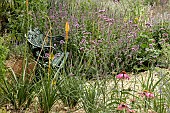 ARID FLOWER BED CONDITIONS