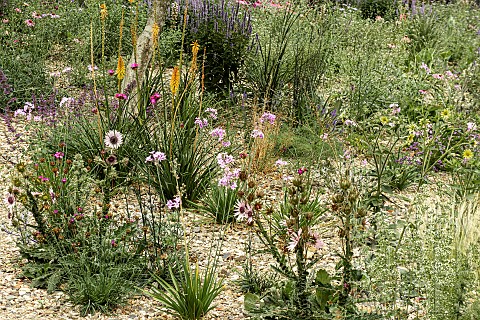 ARID_FLOWER_BED_CONDITIONS