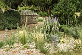 ARID FLOWER BED CONDITIONS