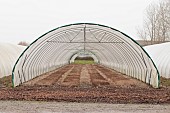 POLY TUNNEL