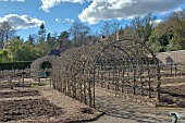 FRUIT TREE TRAINING