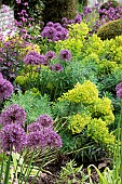 HERBACEOUS BORDER