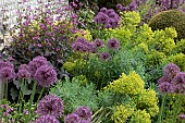 HERBACEOUS BORDER