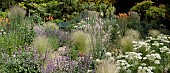 DRY BED PLANTING