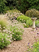 SUNDIAL,  GRAVEL PATH,  ANEMONE SEEHEADS