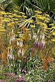 PLANT ASSOCIATION