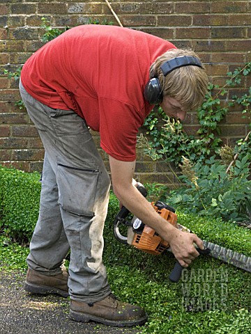 BOX_HEDGE_CLIPPING__LATE_JULY__WEST_DEAN_GARDENS