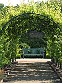 PEAR ARCH,  WEST DEAN GARDENS