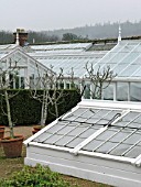 GLASSHOUSE (WEST DEAN GARDENS SUSSEX)