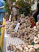 GARLIC SALES TABLE,  WEST DEAN GARDENS CHILLI FEST