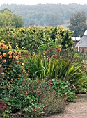 WEST DEAN GARDENS,  HOT BORDER,  PEAR ARCH & ARBORETUM VIEWS