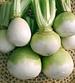 BRASSICA RAPA,  WHITE & GREEN TURNIPS,  VEGETABLE