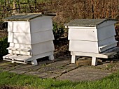 BEHIVES FOR FRUIT POLLINATION