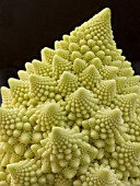 ROMANESCO CAULIFLOWER MINARET (BRASSICA OLERACEA BOTRYTIS)