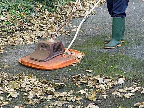 LEAF_SWEEPING_WITH_A_FLYMO