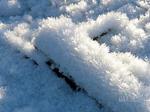 ICE_CRYSTALS_ON_LOGS