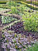 DEMONSTRATION VEGETABLE PLANTING,  GEOMETRIC PATTERN