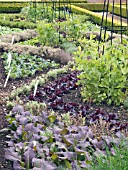 DEMONSTRATION VEGETABLE PLANTING,  GEOMETRIC PATTERN