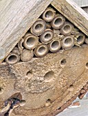 INSECT HOME