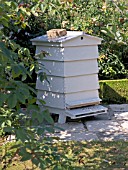 BEEHIVE FOR FRUIT TREE POLLINATION