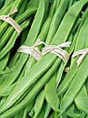 RUNNER BEANS FOR SALE