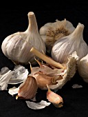 GARLIC (ALLIUM SATIVUM)