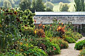 HOT BORDER, WEST DEAN GARDENS, AGAINST CHALK DOWNLAND, SEPTEMBER