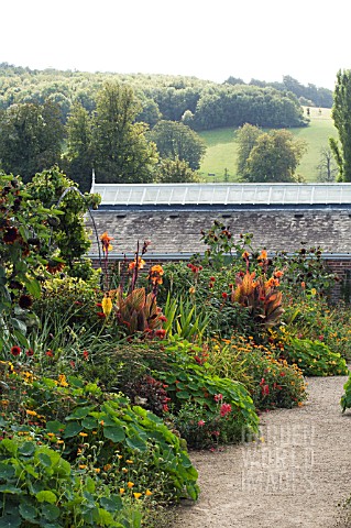 HOT_BORDER_WEST_DEAN_GARDENS_AGAINST_CHALK_DOWNLAND_SEPTEMBER